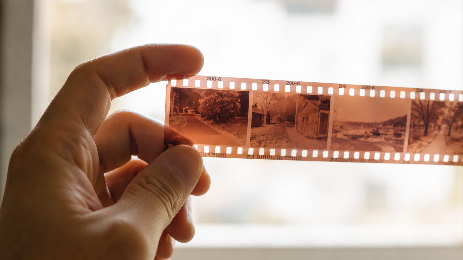 A hand holding a strip of 35mm film negatives up to the light